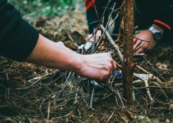 Outdoor Survival Skills: Essential Strategies for Thriving in the Wild
