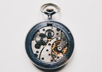 Exploring the World of Skeleton Watches