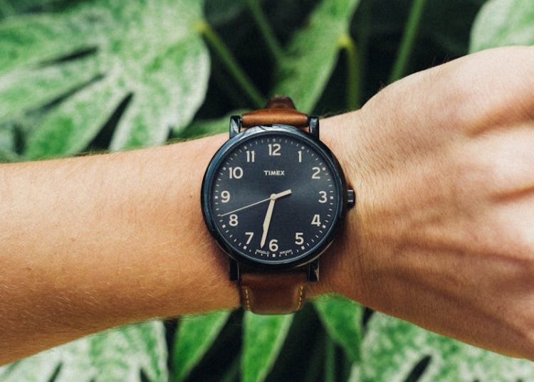 Eco-Friendly Watches: The Rise of Sustainability