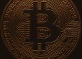 Introduction to Cryptocurrency: The Basics Every Beginner Should Understand