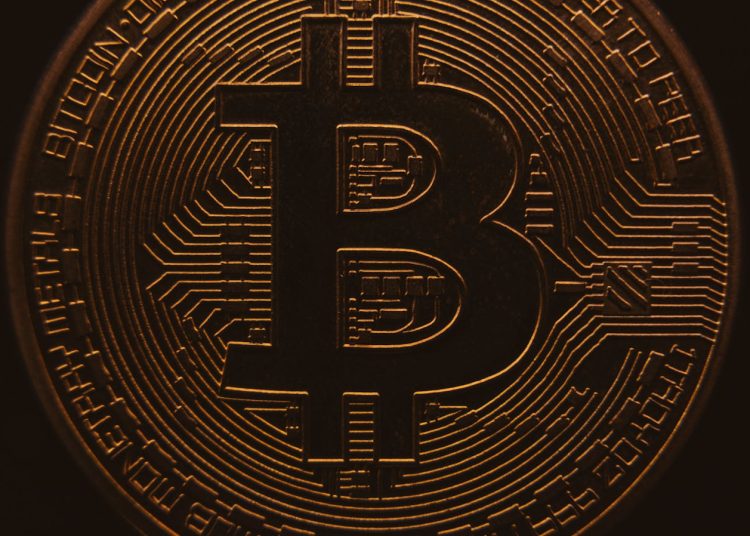 Introduction to Cryptocurrency: The Basics Every Beginner Should Understand