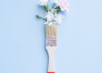 DIY Home Improvement Projects for Beginners