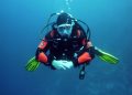 Top Dive Watches for Underwater Explorers