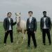 Statement Jackets: How to Own the Spotlight Statement Jackets: How to Own the Spotlight
